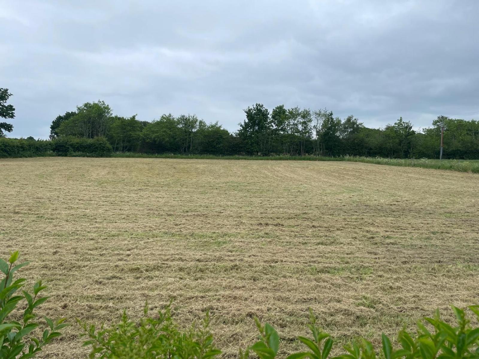 Rural Cottage-Full Kitchen-Pets Ok-Paddock Shrewsbury Eksteriør bilde