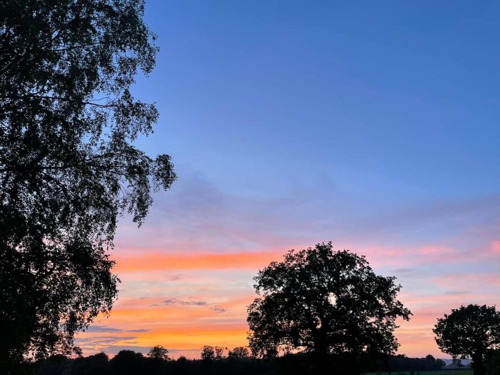 Rural Cottage-Full Kitchen-Pets Ok-Paddock Shrewsbury Eksteriør bilde