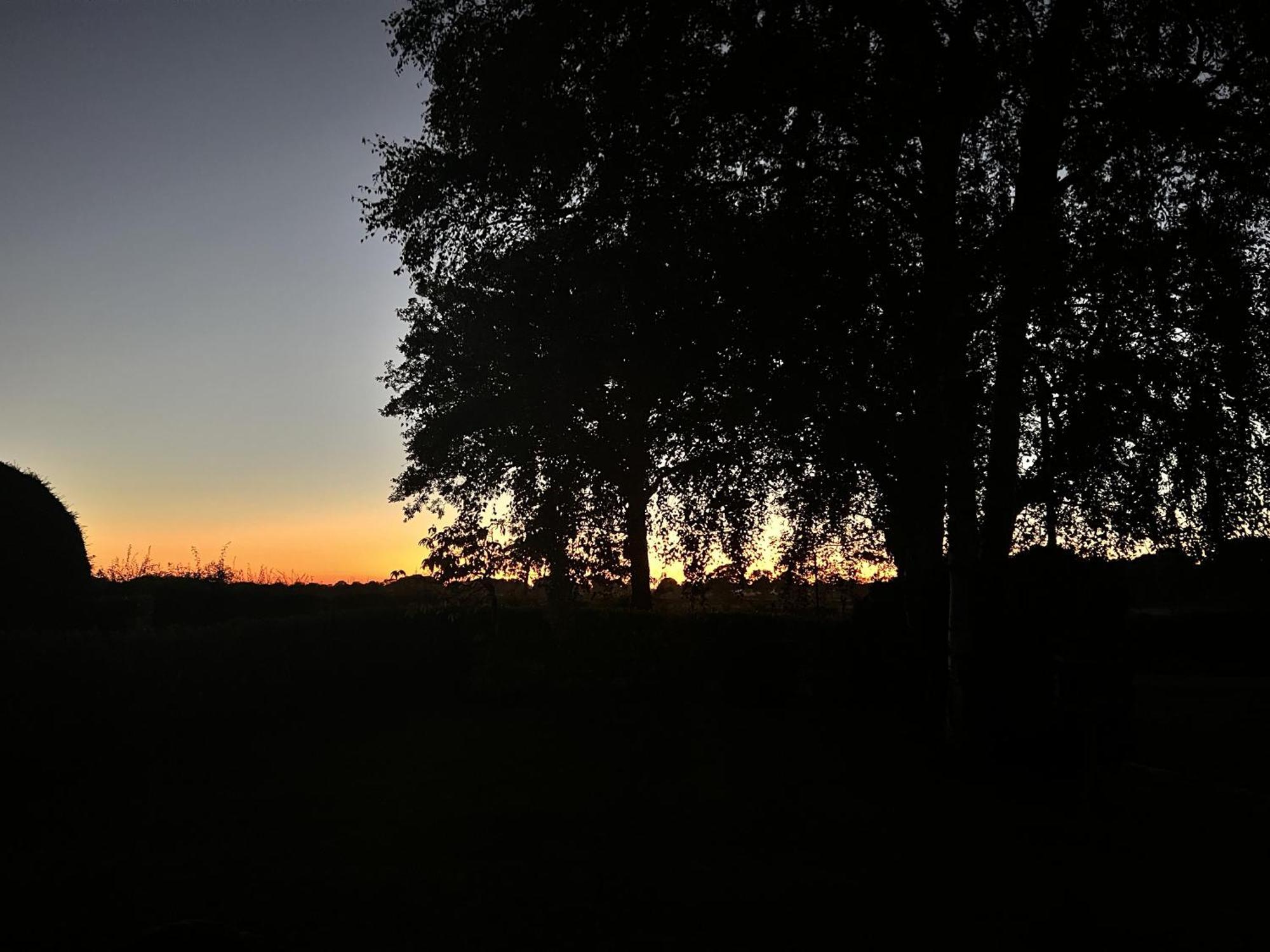 Rural Cottage-Full Kitchen-Pets Ok-Paddock Shrewsbury Eksteriør bilde